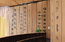 如何借助专业篮球教练提升个人声誉_1