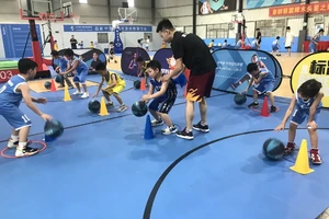  专业篮球教练如何指导不同体型的球员训练：策略与实践